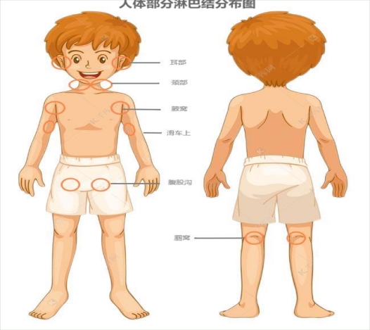 202505271047153746.png 202505271047153746.png