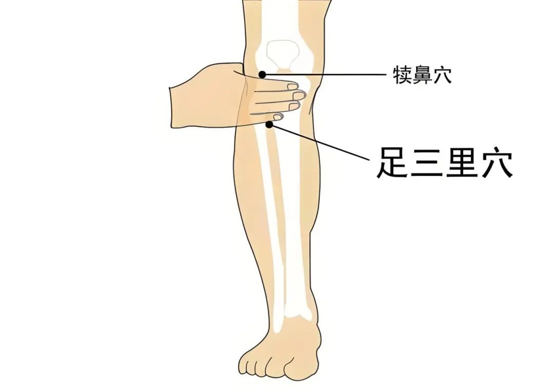 202507040946110240.jpg 202507040946110240.jpg